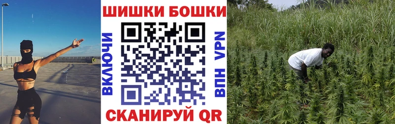 Марихуана план  Купить где  Горячеводский 